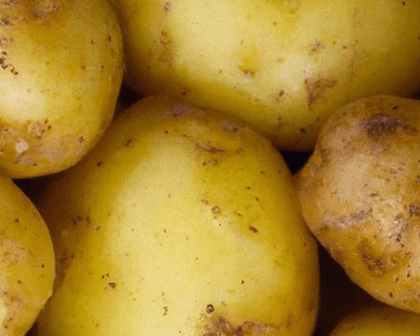 Agata Potatoes category
