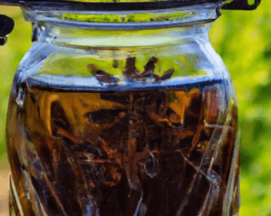 Anise Syrups category