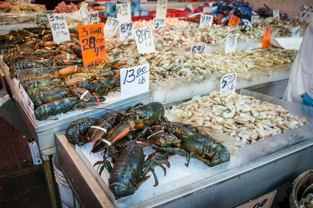 The Seafood Industry: What's Going On Beneath the Surface